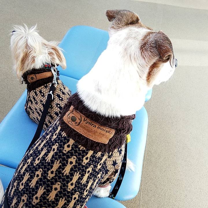 Bbba2e74 8db5 485e a9da e12063564707 1582505516608