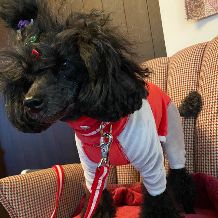 Bbba447f e455 4889 9988 8ce4f02f8ecb 1639612440748