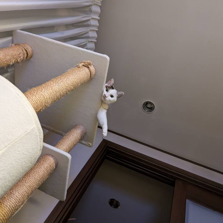 Bbba4738 6e1c 46dc 93f8 a7b85b959737 1724129651418