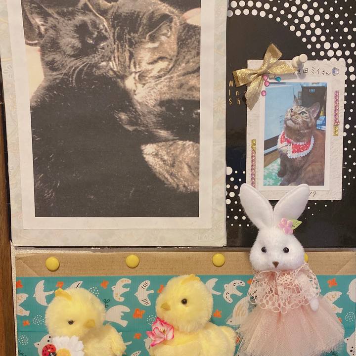 Bbba9279 be02 4019 8358 1e79f51e2820 1584776564882