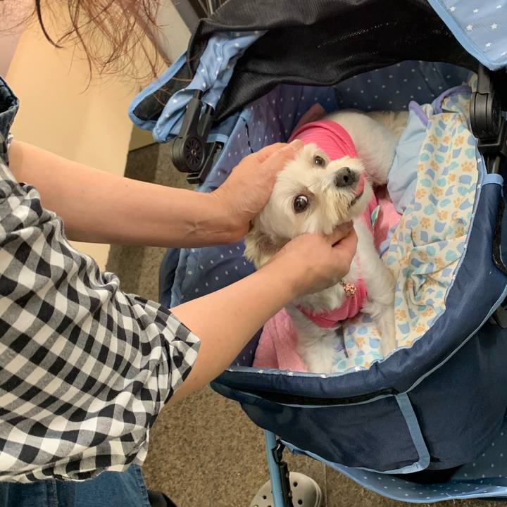 Bbbaaf80 8e41 457e b96e ee558821a170 1596109743609