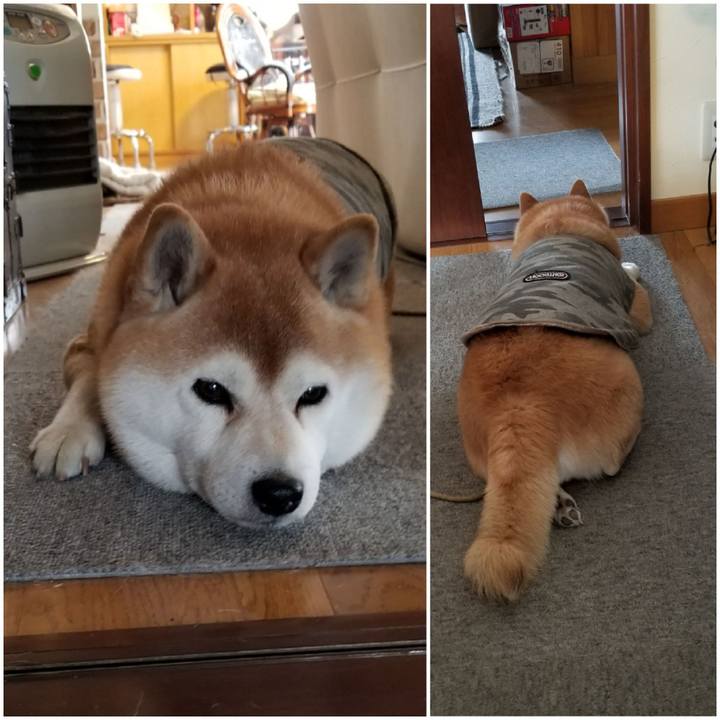 Bbbab6e6 076b 4399 ae5b 4393d2e48eca 1647738006942