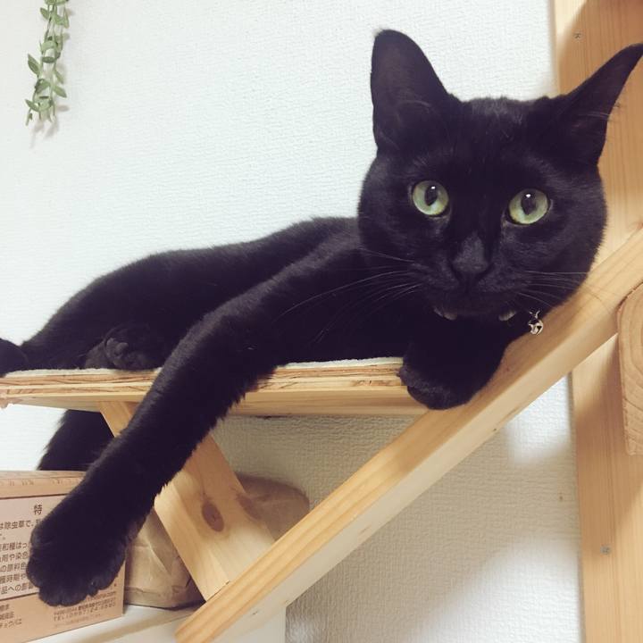 Bbbaba5c 78b0 4e9c b4df 1e398ad6d489 1525571288589