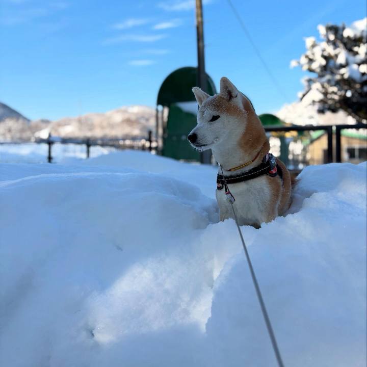 Bbbb72c2 c53f 4f56 9263 9822946b6aaf 1738548992321