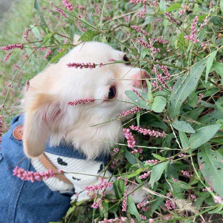 Bbbbb3c5 3a6c 4543 ba0e feb95971fce4 1729513673696