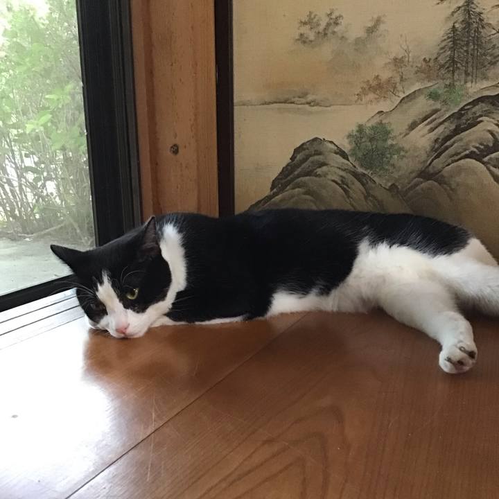 Bbbbf105 088c 41aa b3a9 d6d0b3f779df 1689593219580