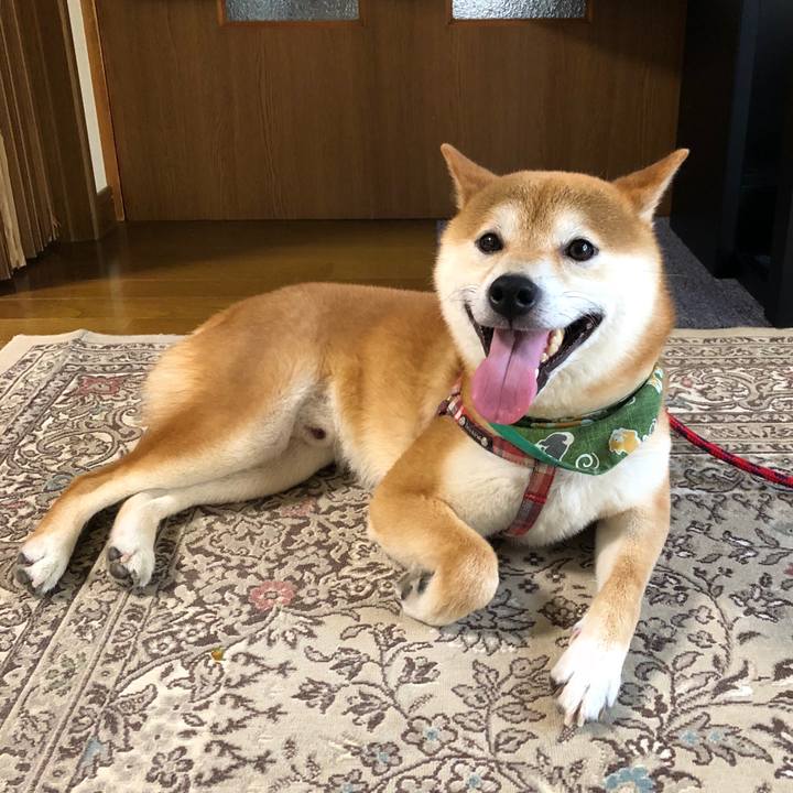 Bbbc5ad5 8171 4ae3 acbc 3bacfeeb465e 1532856218865