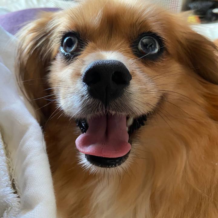 Bbbc7c62 ebea 437d b1f9 aa94c45da647 1630272850190