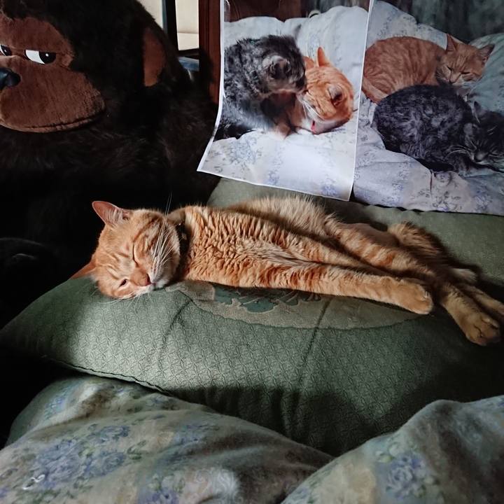 Bbbcc5de 022d 482b a235 ba6014acaf24 1656832856198