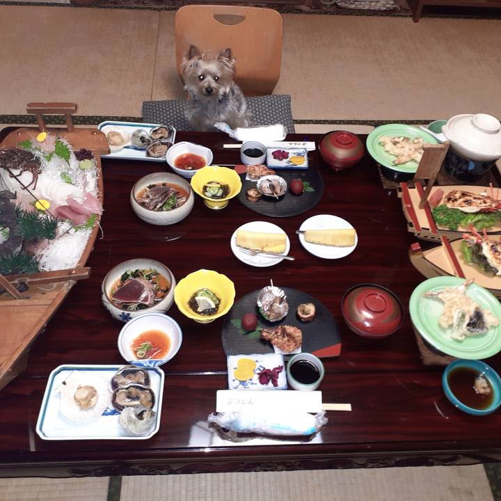 Bbbccfa7 6a79 472a 9319 4b9d665f7eac 1678183492967