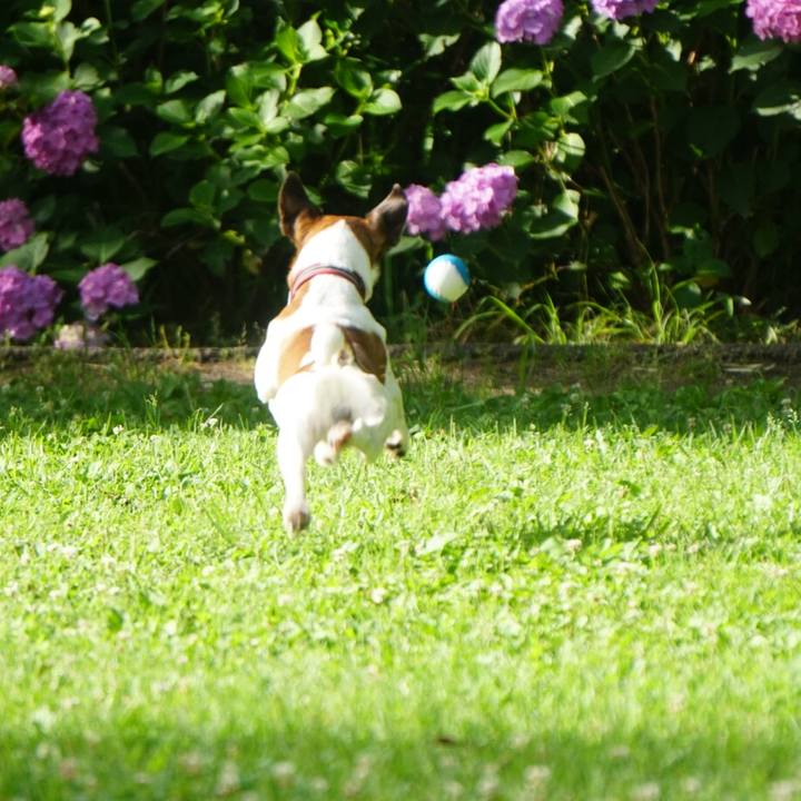 Bbbd0397 939b 4a65 b2da 4df92e121991 1560898339516