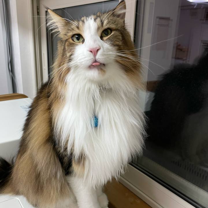 Bbbd3305 f81f 451c a19c 51cc8bff3483 1708458176013