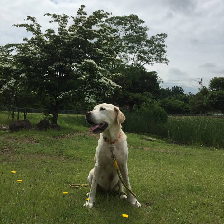 Bbbd4667 56aa 400d bf16 af55c256a1be 1597214869912