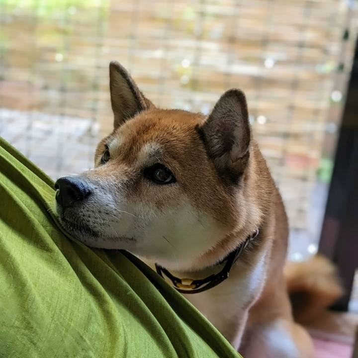 Bbbd4f5f f978 4dde aee9 44375a74c6d3 1695948950457