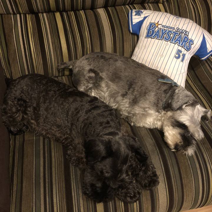 Bbbd83ca a5b8 4529 be03 585d30c87253 1564485124913