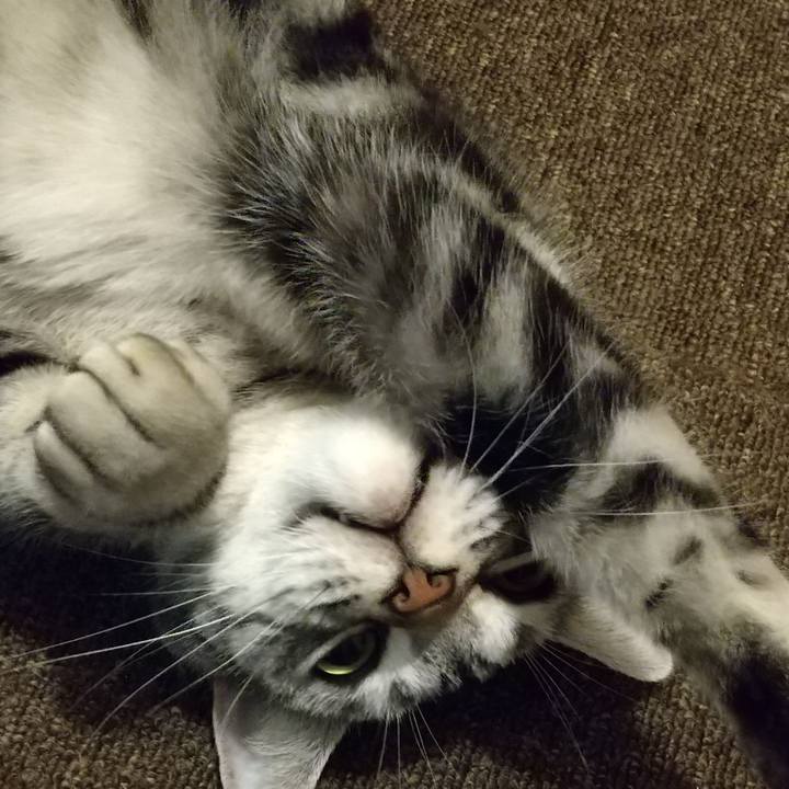 Bbbd8df1 8a27 49e2 a90e a78b9e5129a1 1647942423480