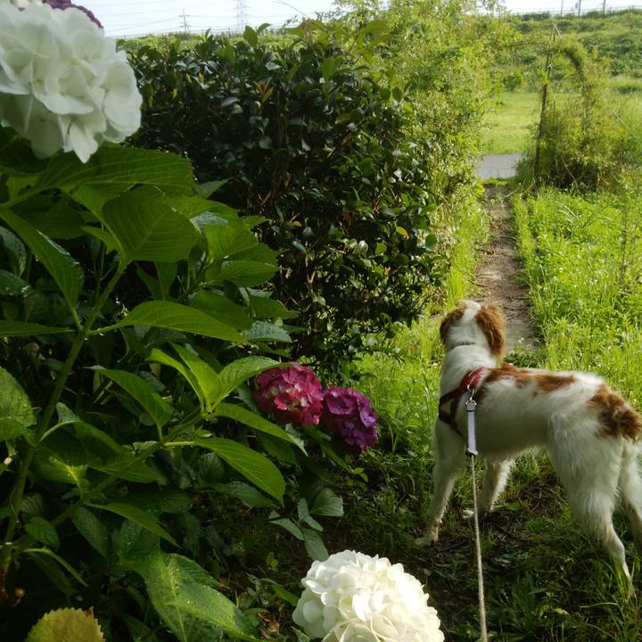 Bbbd9870 802e 4e60 b321 e6bdee0f60f9 1528503279700