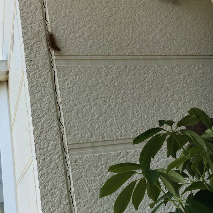 Bbbdcdc5 4599 4e38 acfd 7d06feb53a51 1557386395278