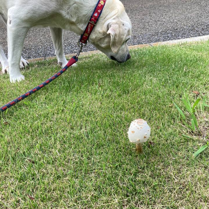 Bbbdcf0d c228 4574 86fa b60d4141b358 1759845464924