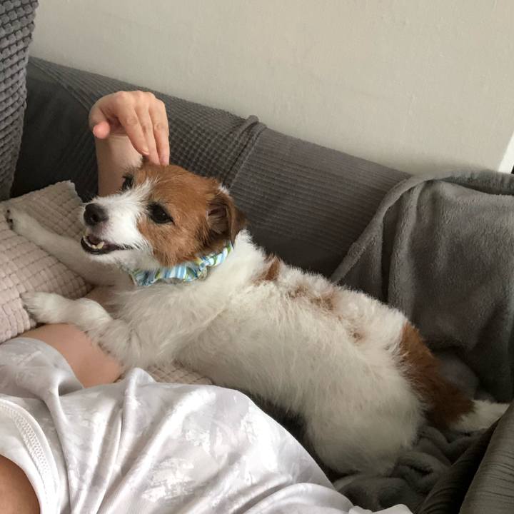 Bbbea047 591c 492c 9c7b fdf2ee58c0d6 1596868671663