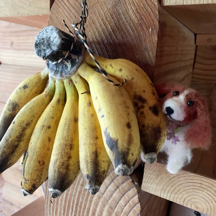 Bbbeca3d 295c 4dcc b21c 8148b52c6ba2 1630964807498