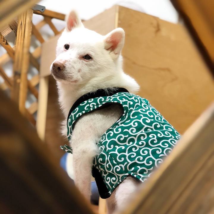 Bbbf1867 d27c 4d89 bc39 4c2f133ac7b0 1572526699094