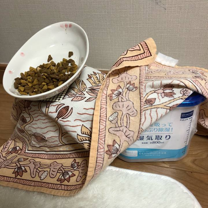 Bbbf3037 aae9 439b 9d8d 631b4ad7d0de 1546485873208