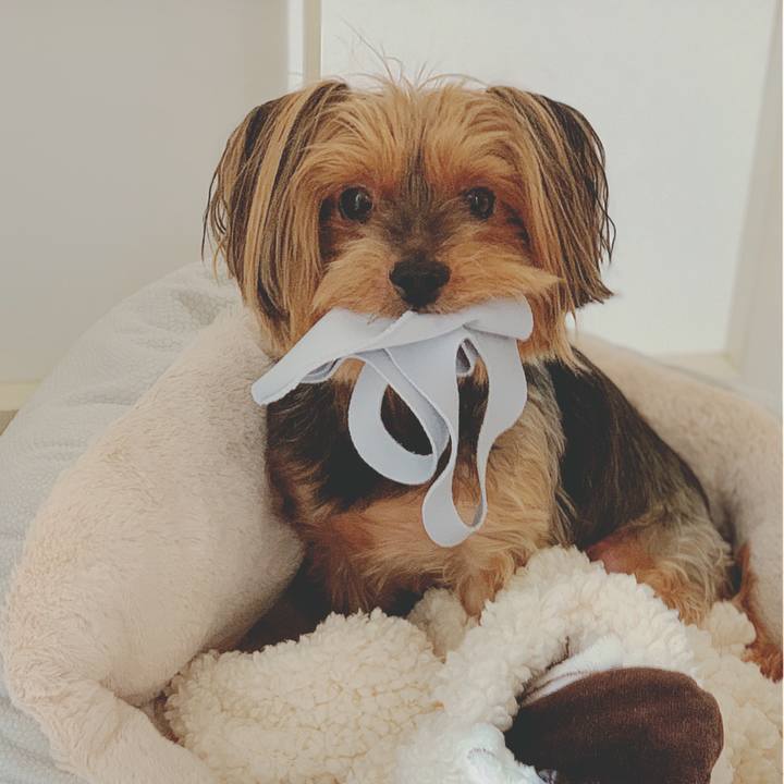 Bbbf42cb 3176 49ee a1ba 53c5dea736cc 1595904404995