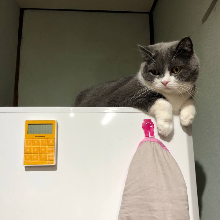 Bbbf68bd 89eb 4875 8408 9c59529ec63b 1570447734984