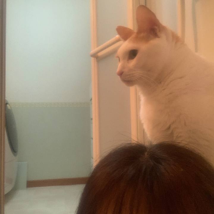 Bbbf83ed 3e42 49f6 868c c4d8002e3cb4 1644151114087