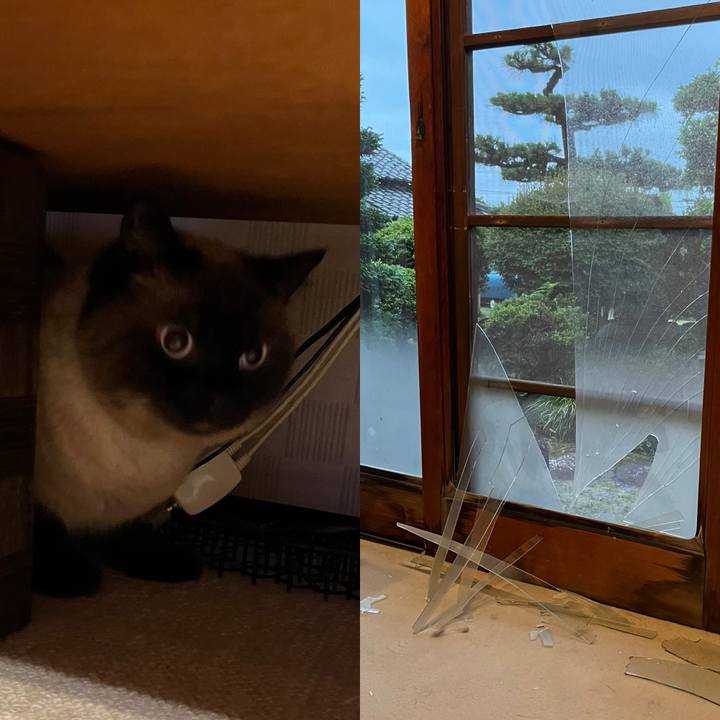 Bbbfa403 cbc6 45db a982 5e4770fadffc 1686477197823