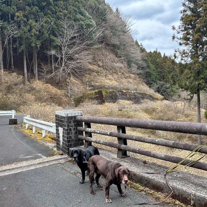 Bbbfc081 8ded 4635 9e1d 7a9b617a900e 1773487014850