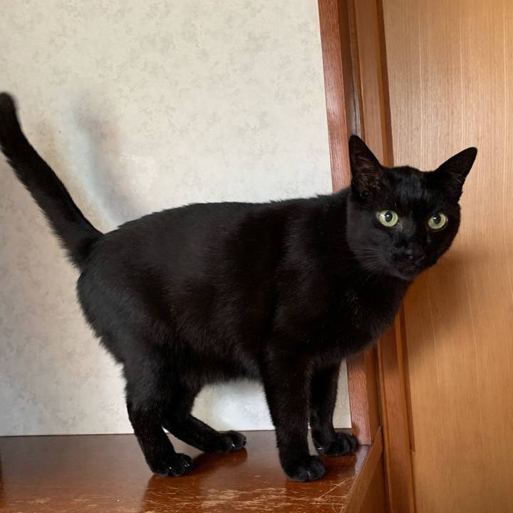 Bbbfcd95 64e3 414f 95c3 f58c790aa127 1560557894441