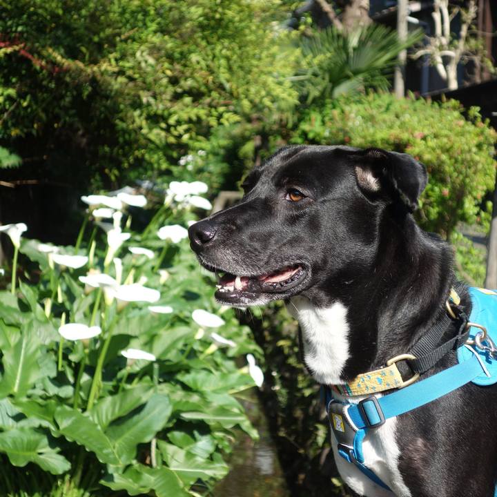 Bbbff896 742e 474d 87b9 6f1f1d649bd0 1619917730004