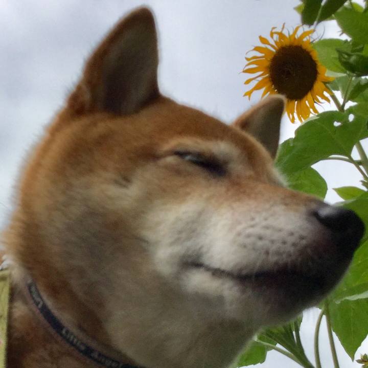 Bbc01b5b 8c8e 49dc a24f ca5f641a3315 1562808376341