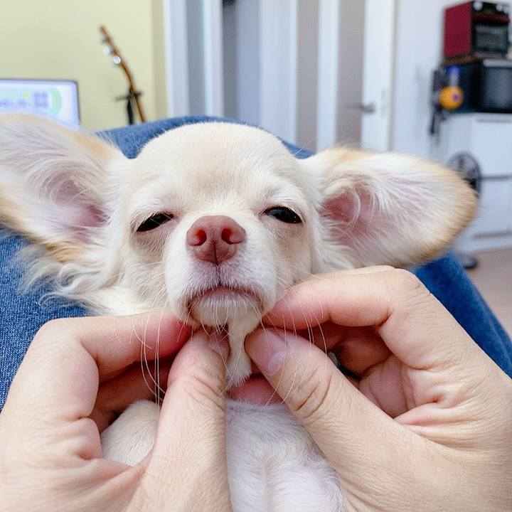 Bbc0756c 4694 47d2 83b1 05ceeb6c9c0a 1596690926453