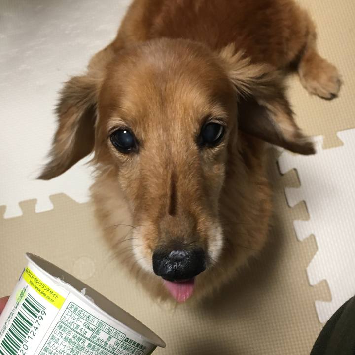 Bbc08b4b 2b51 473f a202 337d3482b031 1628691286851