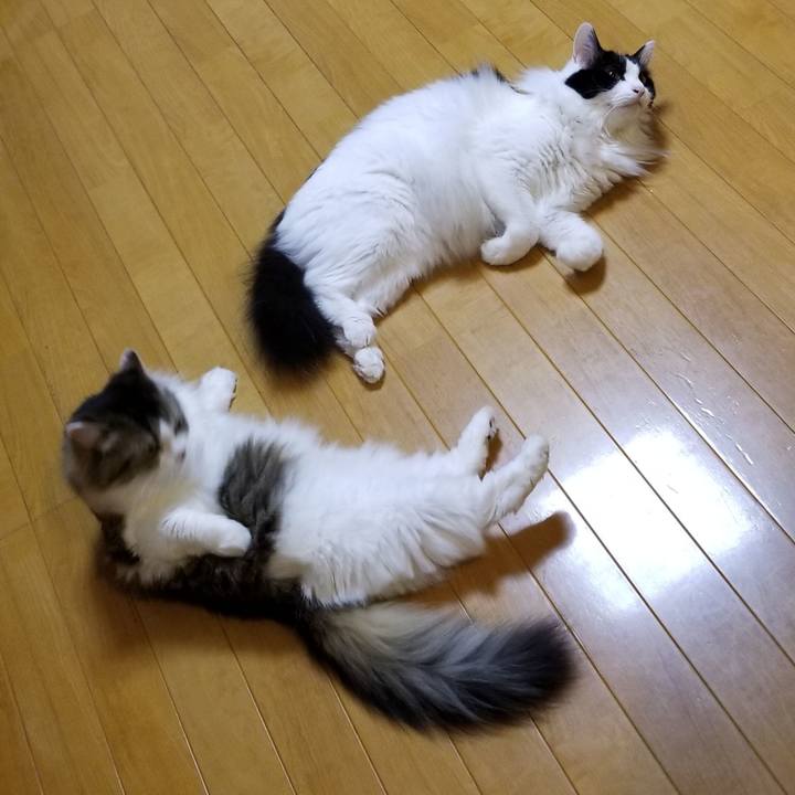 Bbc0cddb bac1 4abe abac 57a2d26fbe1c 1566742741641