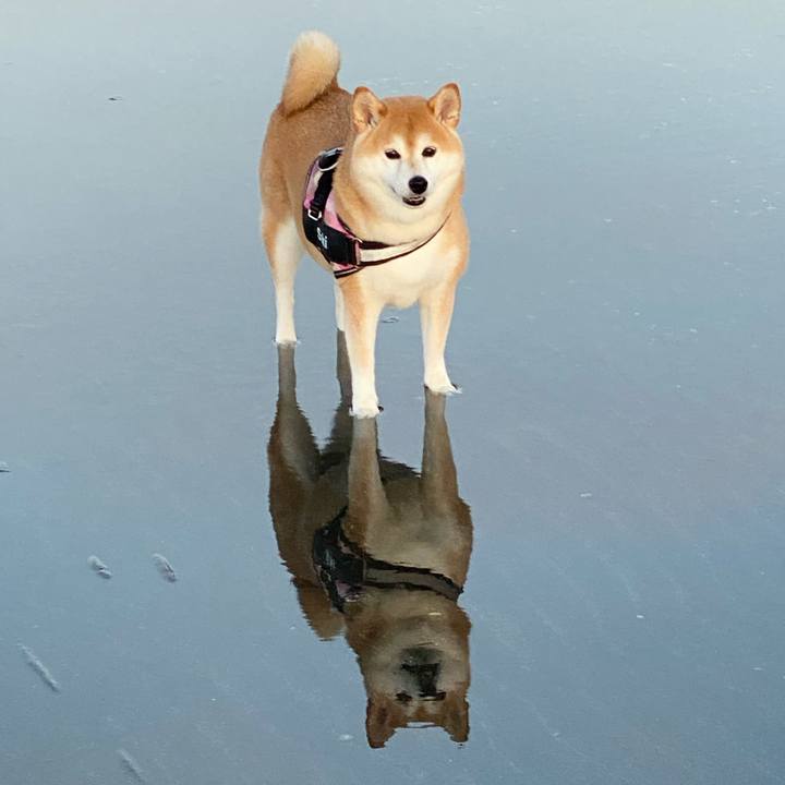 Bbc0dcb5 30e5 4d90 83e6 afe9aca05d93 1663383070409