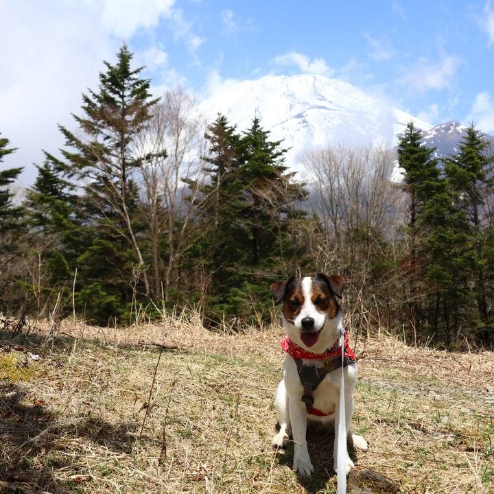 Bbc0fae7 d482 4140 9152 e3ed8197376f 1556791501809