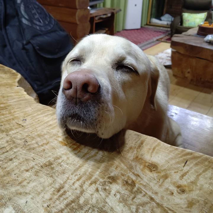 Bbc10bd2 60ae 4fea 9e54 6b14899744a2 1674465934894