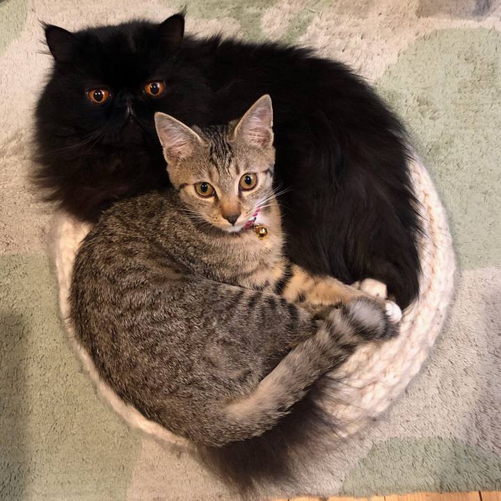 Bbc13324 c68e 4f6d ab66 da61e0c5c607 1551876943171