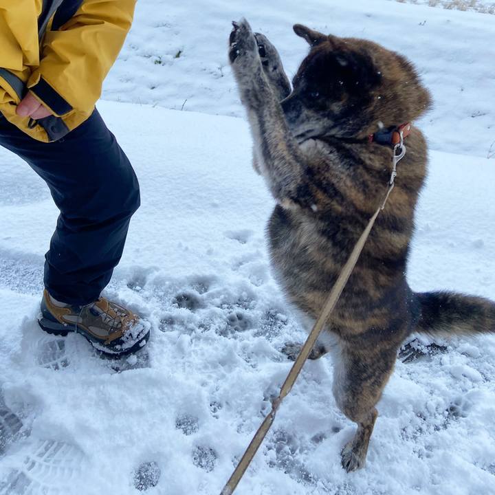 Bbc14143 042c 43b4 a94c f00775a7451e 1612306587922