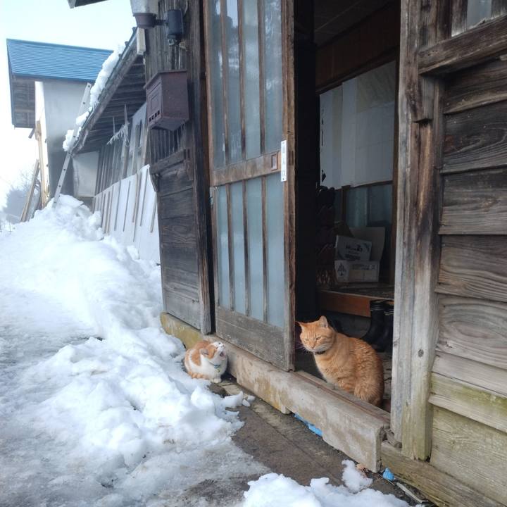 Bbc1479c 574c 40e4 8d72 6317d627b6dd 1737429724987