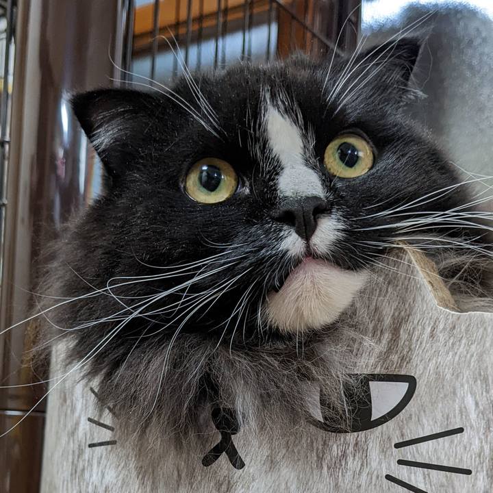 Bbc19834 bbca 442a b34e 5b25cbbd99fe 1666870252315