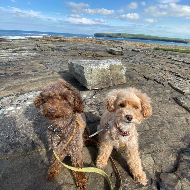 Bbc1c0b6 e094 4252 9a4c 2a256e9fd4b7 1600522370604