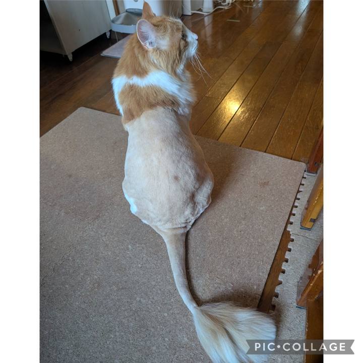 Bbc1d348 1f7d 43fa b69a 4cdba924a84e 1751153513190