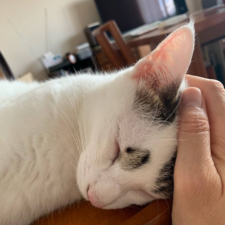 Bbc1f90c 8624 48ee 849d 5e5a65fb96cb 1612918994777