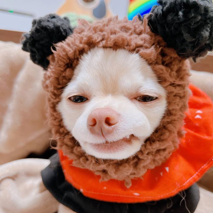 Bbc203ff 0777 41c1 9400 95fe87c92345 1673870596155