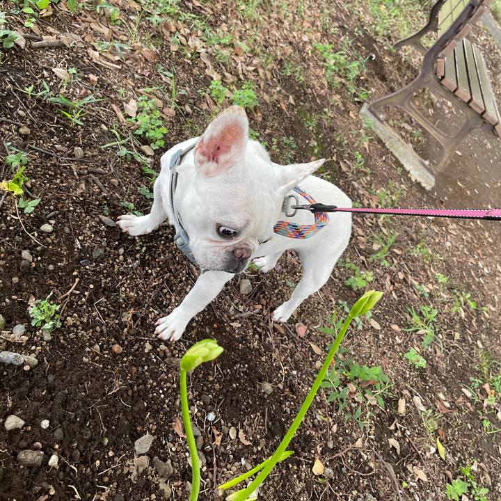 Bbc221ec 1f43 4225 aaa7 2e94927cb408 1758149839524